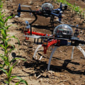 Exploring Agriculture and Farming with Drones